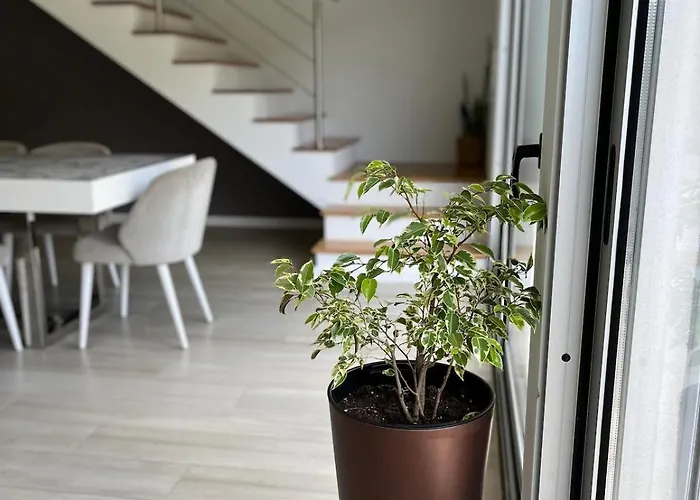 Hébergement de vacances Carminho & Nono *