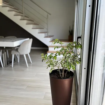 別荘 Carminho & Nono *